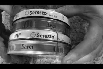 Bayer Seresto Collar Lot Number Lookup image 0